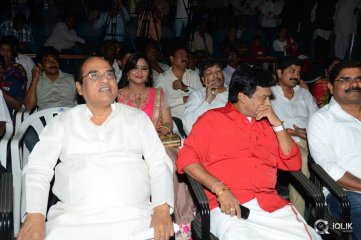 Anushtanam Movie Audio Launch